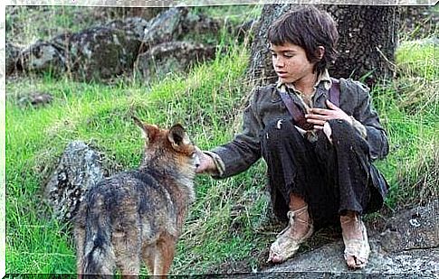 Among the wolves: the story of the child who survived in the midst of nature