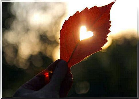 Heart on leaf