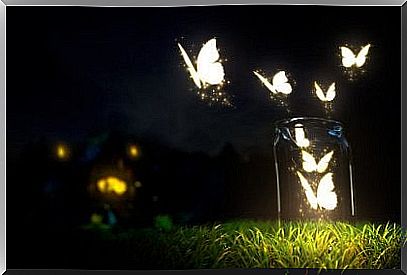 butterflies in the jar