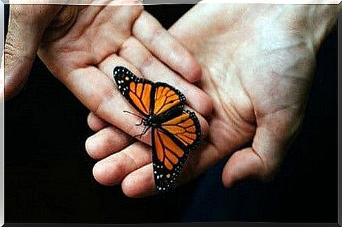 Principles of reciprocity and butterfly in your hands.