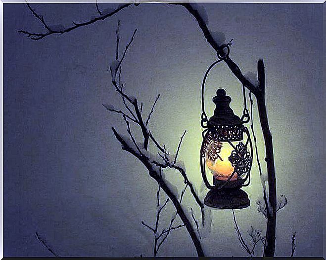 lantern-branches