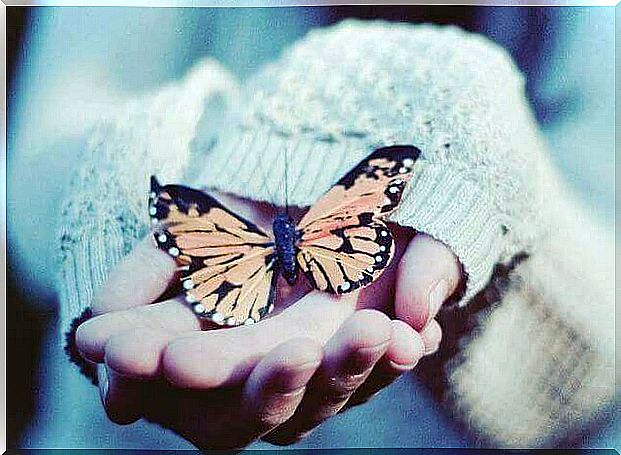 butterfly-in-hand