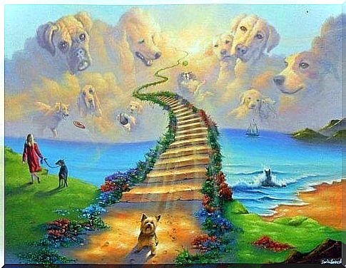 The legend of the Rainbow Bridge: the paradise for our pets